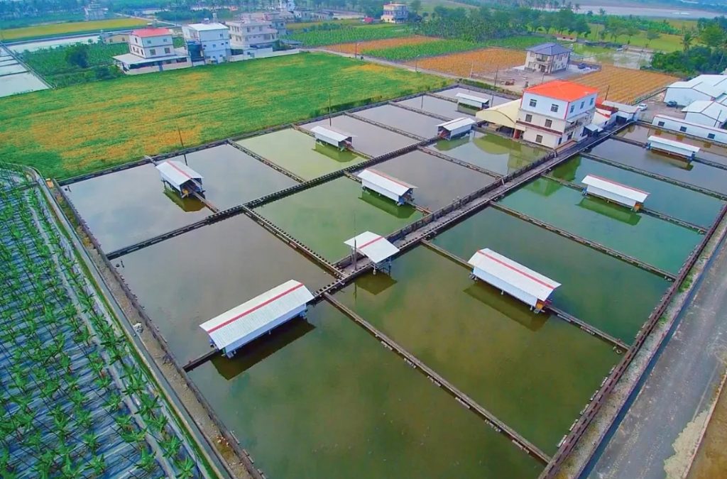 從甲魚養殖場出發的加捷生醫